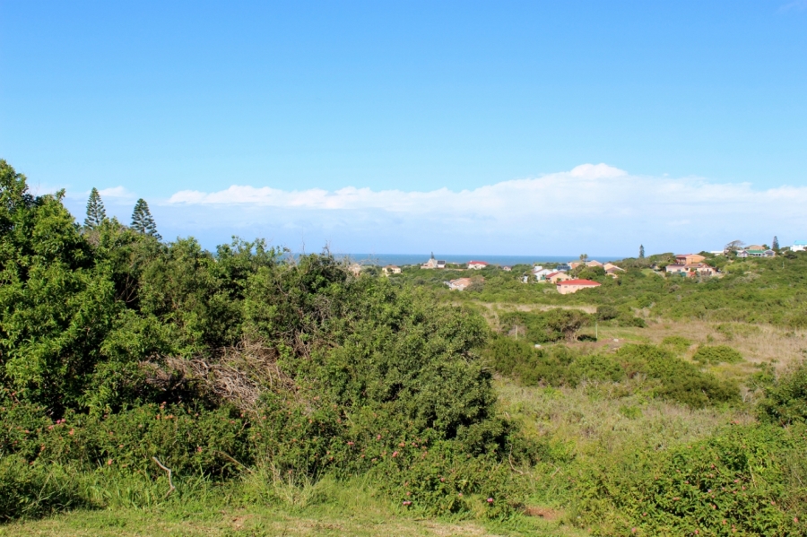0 Bedroom Property for Sale in Forest Downs Eastern Cape